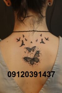 تتو کار خانم در صادقیه