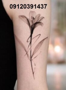 تاتو بدن حرفه‌ای در تهرانسر