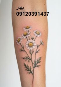 تتو گل بابونه 6 جدیدترین ایدههای طرح تتو گل بابونه