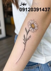 تتو گل بابونه 4 تتو گل بابونه روی ساعد