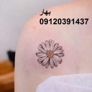 تتو گل بابونه 5 تتو گل بابونه روی ترقوه